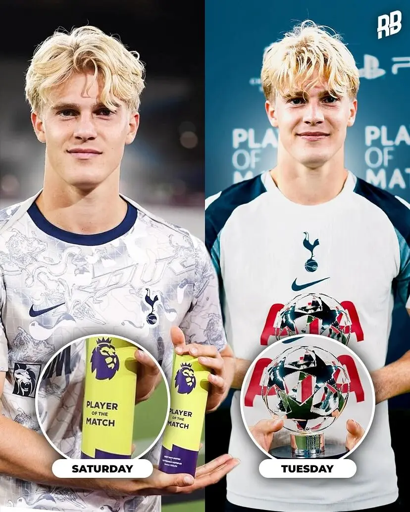 tenan, 有望成为锋, div tenan, 有望成为锋, div