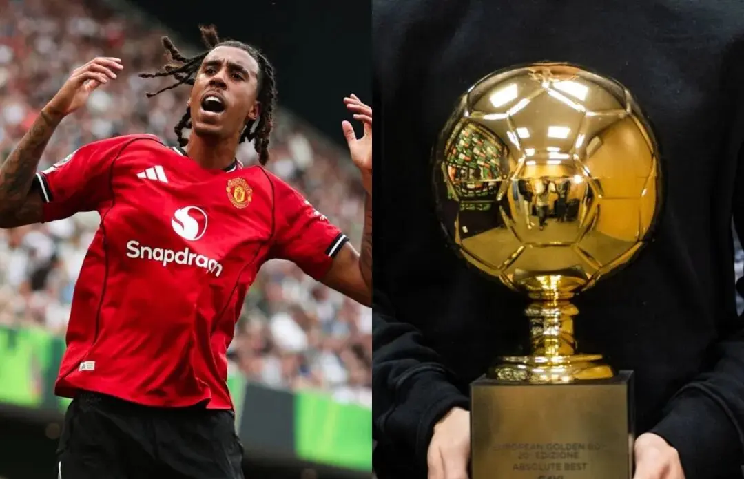 的年轻球员 的年轻球员